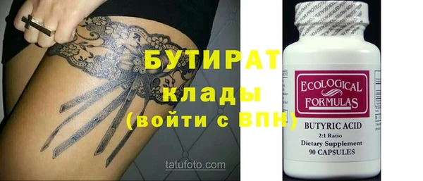 индика Алексин