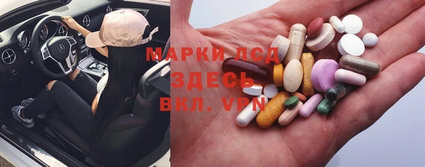 индика Алексин