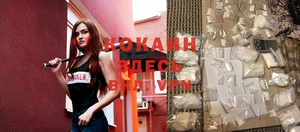 индика Алексин