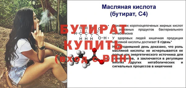 индика Алексин