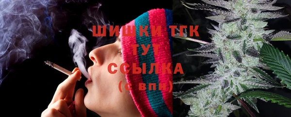 стаф Алексеевка