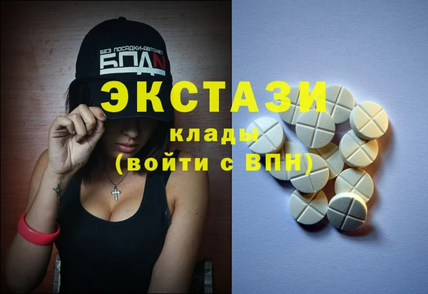 индика Алексин