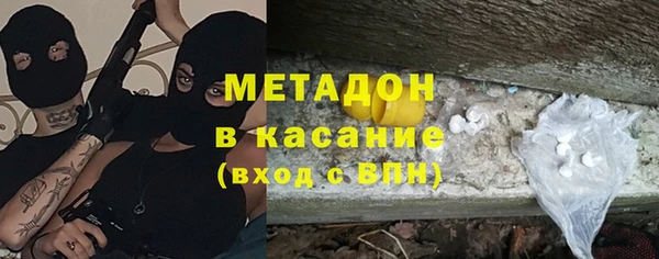индика Алексин