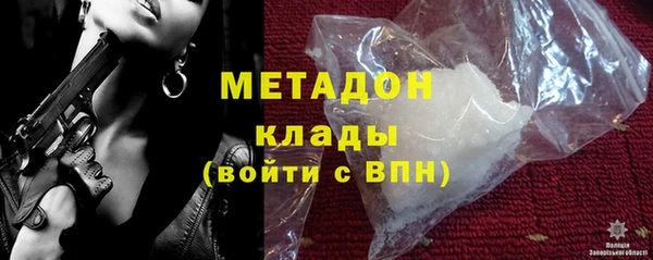индика Алексин