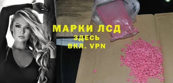 индика Алексин